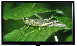 [Z4] Télé HAIER LE22M600CF LCD + support